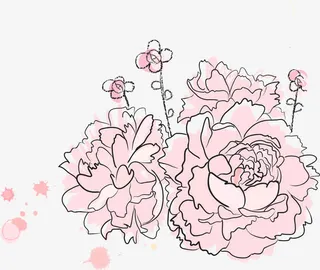 手绘玫瑰花免抠