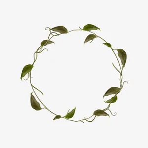 树叶素材免抠