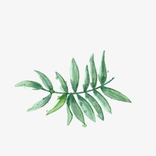 绿色清新的水墨画手绘装饰画免抠