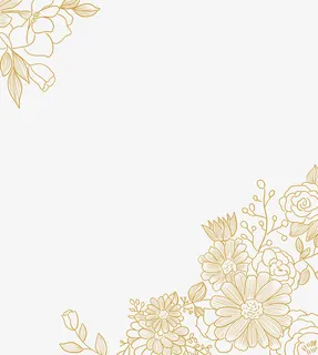 线描金线花边框免抠