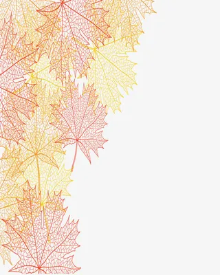 清新枫叶简约墙绘免抠