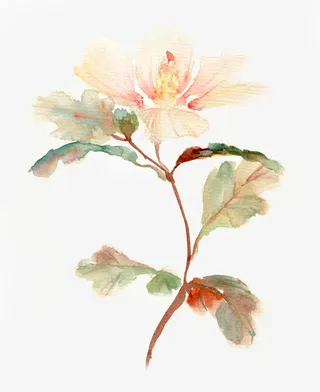 唯美中国古风插画免抠