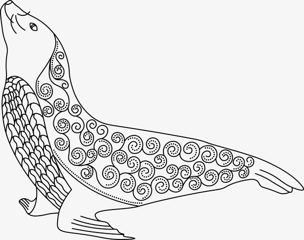 黑白海豹模型免抠