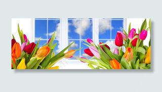 郁金香淘宝海报背景