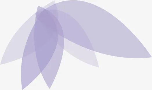 树叶自创简约免抠