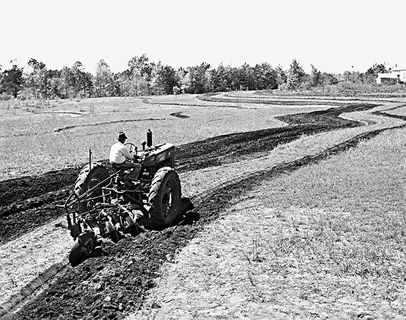 在广阔的田地里开着耕作用车的农免抠