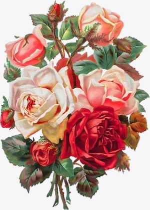 中式手绘插画鲜花免抠