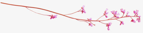 梅花免抠