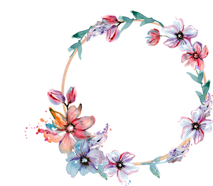 树木植物，臂贴，圆贴，高清