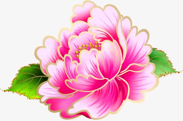 绿叶粉色盛开菊花免抠