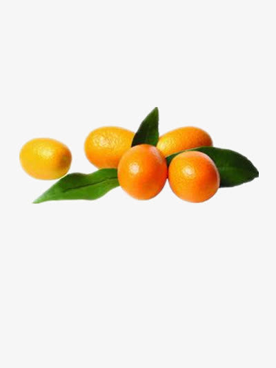 金桔免抠