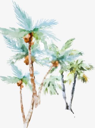 水彩椰子树免抠