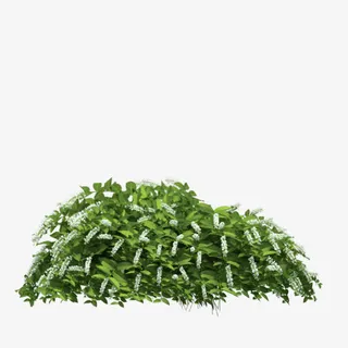 白色花朵绿色叶子png素材免抠