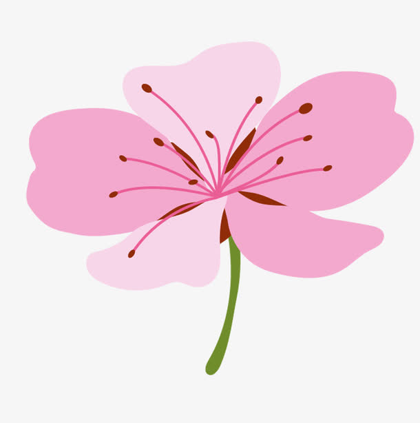 手绘桃花免抠