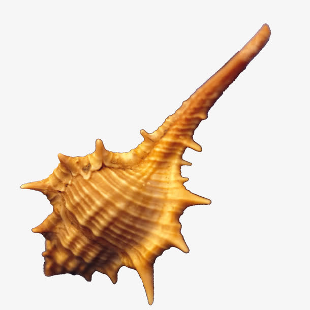 海螺免抠