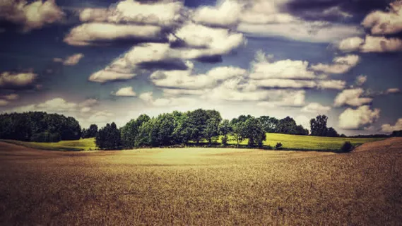 唯美天空白云金色麦田海报背景