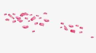 桃花漂浮花瓣免抠