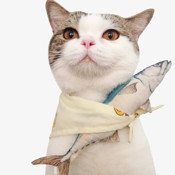 抱鱼的猫免抠