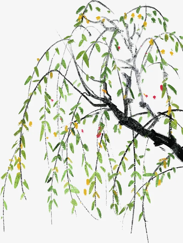 春天手绘绿色柳树免抠