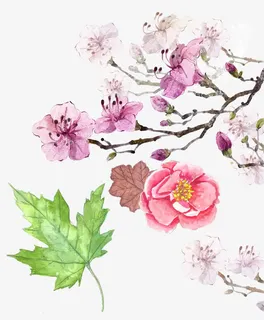 手绘春天桃花免抠素材免抠