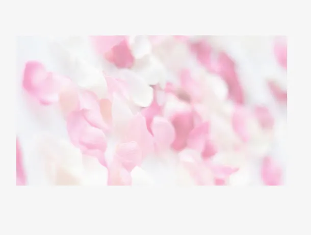 朦胧粉色花瓣免抠