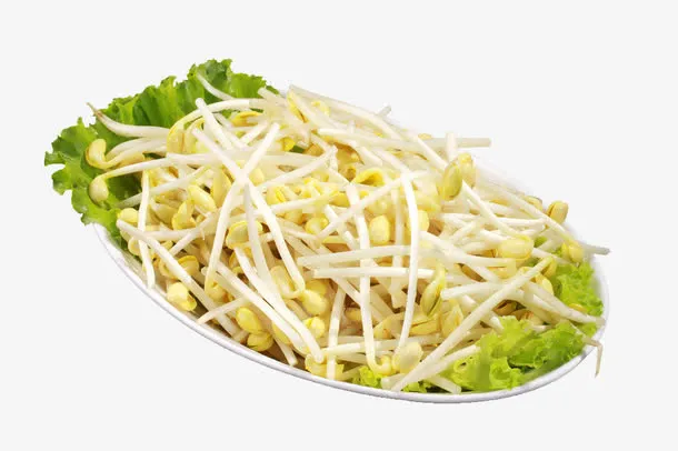 新鲜黄豆芽免抠