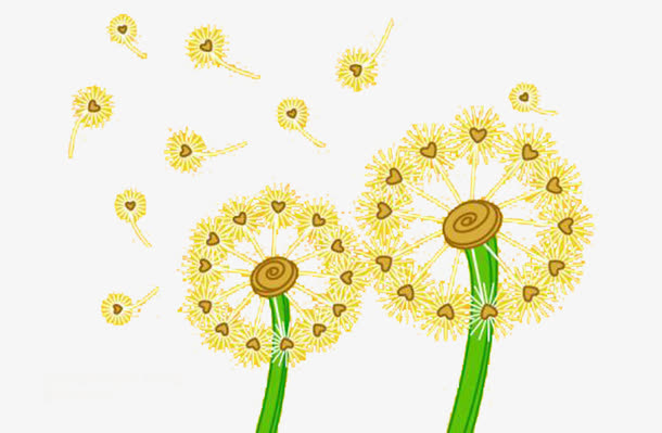卡通画蒲公英图片素材免抠