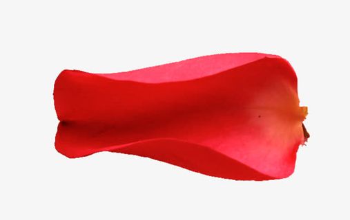 实体花瓣红色半开免抠