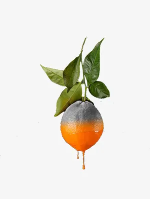 创意水果平面设计橘子免抠