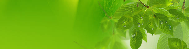 淘宝背景banner