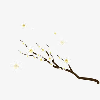 白色樱花树枝浪漫素材免抠