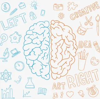 左右大脑智力开发免抠