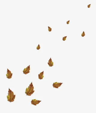 黄叶飘落漂浮免抠