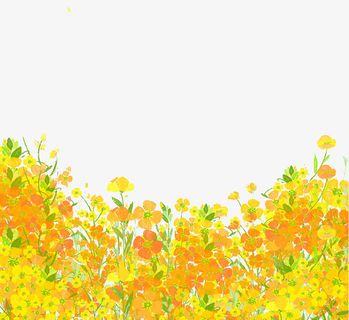 手绘花朵装饰扁平肌理风插画免抠