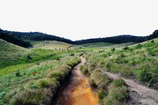 努沃勒埃利耶景色免抠