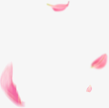 粉色花瓣漂浮物免抠