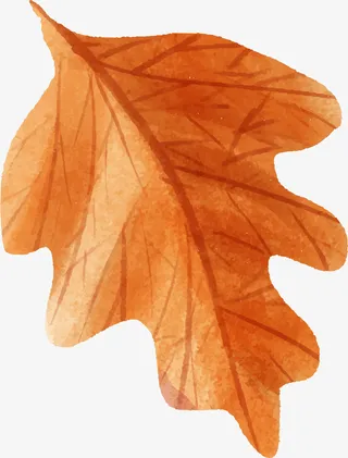 黄色清新枯叶免抠