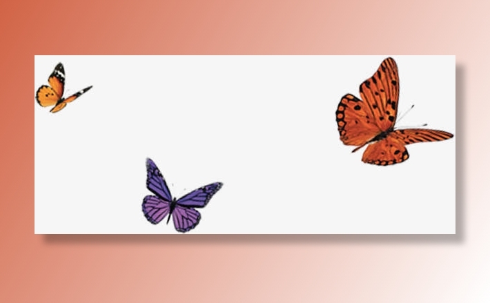 春天飞舞飞行蝴蝶免抠装饰动物元素