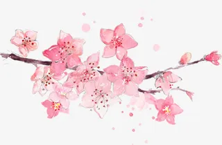 春天古风粉色花朵树枝免抠