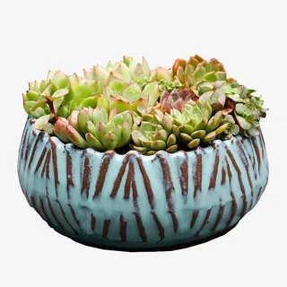 多肉植物花盆免抠