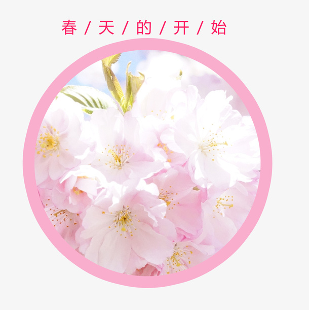 免抠春天粉色的花朵艺术字免抠