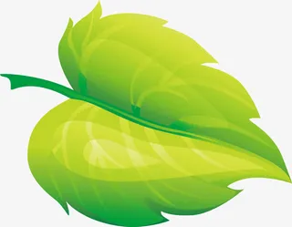 绿色卡通树叶设计春天免抠