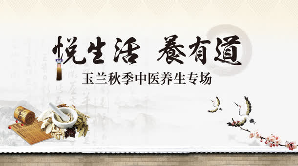 中医养生宣传海报免抠