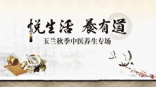 中医养生宣传海报免抠