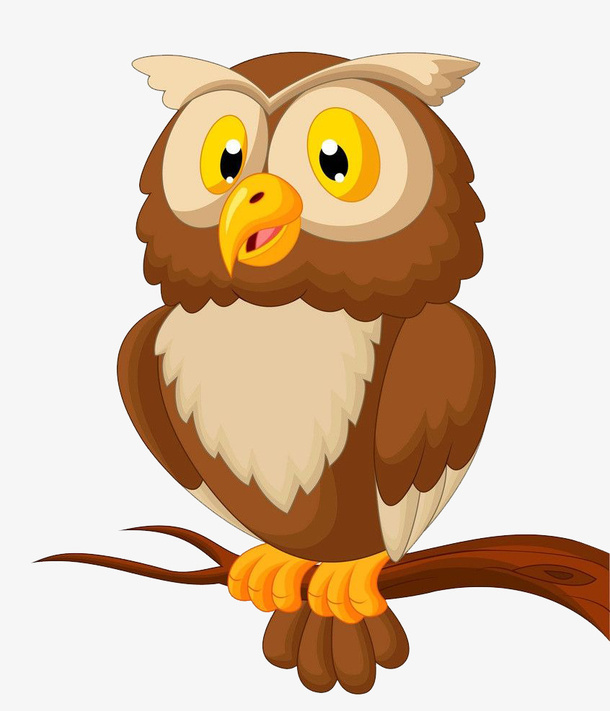树枝和猫头鹰免抠