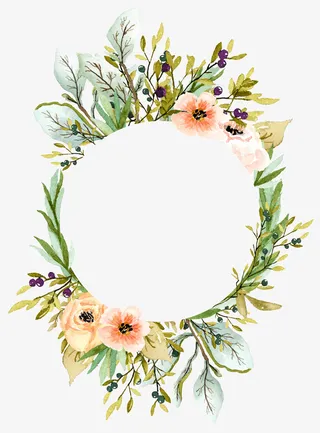 手绘花草边框免抠