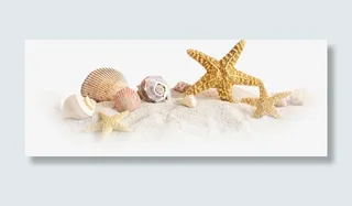 海星海螺沙滩免抠