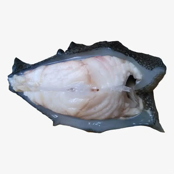 新鲜斑鱼海参斑免抠