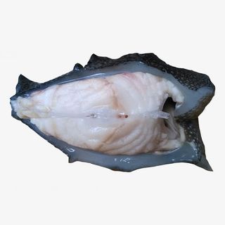 新鲜斑鱼海参斑免抠