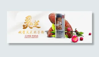 鑫—灵芝孢子粉胶囊banner
